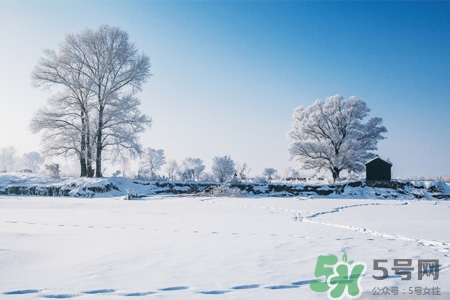 下雪高鐵會停運嗎？下雪天會影響高鐵嗎？