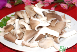 孕婦可以吃平菇嗎？孕婦吃平菇有什么好處？