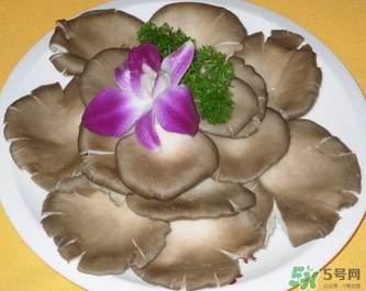 平菇是發(fā)物嗎？平菇是不是發(fā)物？