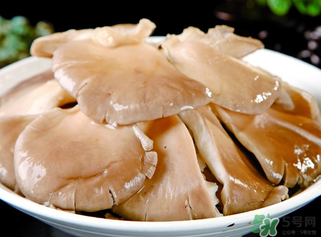平菇是發(fā)物嗎？平菇是不是發(fā)物？