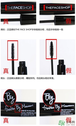 菲詩小鋪大肚子睫毛膏多少錢？菲詩小鋪大肚子睫毛膏專柜價