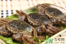 寶寶能吃螃蟹嗎？寶寶可以吃螃蟹肉嗎？
