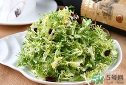 苦菊可以減肥嗎？苦菊怎么吃可以減肥？