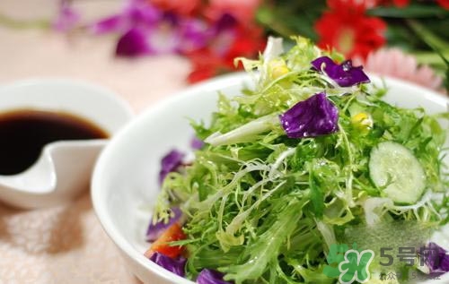 苦菊可以減肥嗎？苦菊怎么吃可以減肥？
