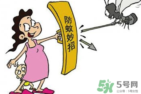 冬天為什么會有蚊子？冬天家里有蚊子怎么辦？