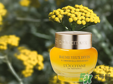 loccitane是什么牌子？loccitane護手霜好嗎？