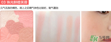 canmake花瓣腮紅珠光還是啞光好？canmake腮紅珠光好看還是啞光？