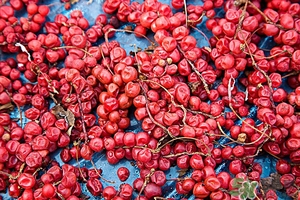 五味子茶韓國怎么喝？五味子茶的五種味道代表什么？