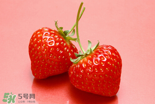 冬天有草莓嗎？冬天的草莓能吃嗎？