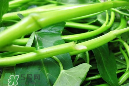 冬天可以吃空心菜嗎？冬天排毒多吃空心菜