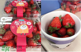 孕婦冬天能吃草莓嗎？孕婦冬天吃草莓好嗎？