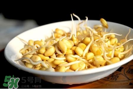 冬天可以發(fā)豆芽嗎？冬天怎樣發(fā)黃豆芽？