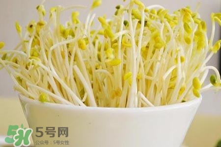 冬天可以發(fā)豆芽嗎？冬天怎樣發(fā)黃豆芽？