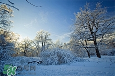 冬天怕冷吃什么好？冬天怕冷吃什么食物？