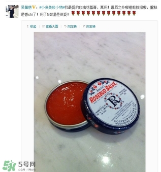史密斯花蕾膏怎么用？史密斯花蕾膏使用方法
