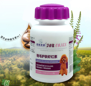 泰迪吃蝦紅素好嗎？蝦紅素的功效與作用