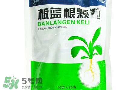 冬天喝板藍根好嗎？板藍根的功效與作用
