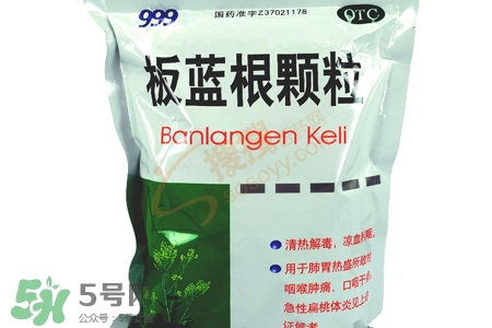 冬天喝板藍根好嗎？板藍根的功效與作用