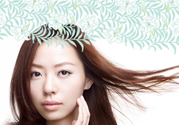泊美這個(gè)牌子怎么樣？泊美是哪個(gè)國(guó)家的品牌？