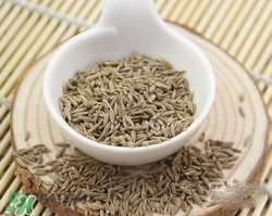 小茴香是孜然嗎？小茴香和孜然的區(qū)別
