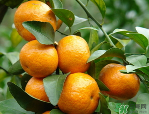 小橘子上火嗎？小橘子吃多了會(huì)上火嗎？