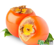 柿子籽能吃嗎？柿子籽的功效與作用