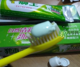 lion獅王是什么牌子？獅王是哪個(gè)國家的什么檔次？