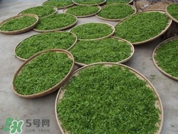 酸棗葉哪里有賣(mài)?酸棗葉的功效與作用