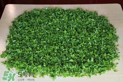 酸棗葉哪里有賣(mài)?酸棗葉的功效與作用