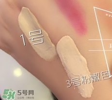 紀(jì)梵希氣墊粉底多少錢？紀(jì)梵希氣墊粉底價格