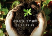 花肌粹護(hù)膚品怎么樣？花肌粹護(hù)膚品含激素嗎？