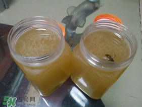 冬蜜多少錢一斤？冬蜜如何辨別真假？