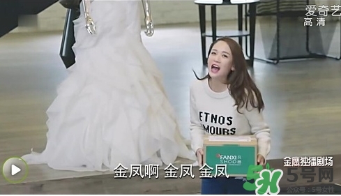 凡茜是什么牌子？凡茜是哪個國家的品牌什么檔次？