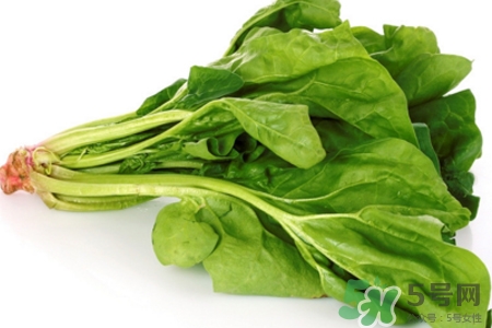 菠菜熱量高嗎？菠菜吃多了會(huì)發(fā)胖嗎？