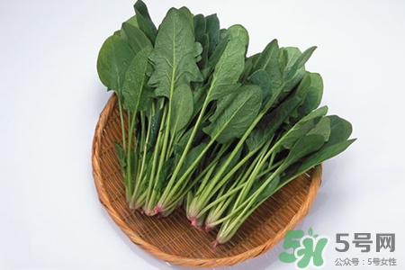 吃菠菜好嗎？吃菠菜的好處和壞處？