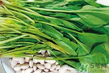 吃菠菜好嗎？吃菠菜的好處和壞處？