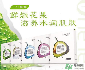 一葉子是哪個國家的？一葉子面膜是哪個國家的？