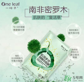 一葉子是哪個國家的？一葉子面膜是哪個國家的？