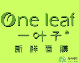 一葉子面膜會(huì)過(guò)敏嗎？一葉子面膜會(huì)不會(huì)過(guò)敏？