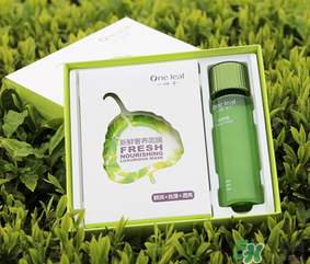 一葉子面膜怎么用？一葉子面膜使用方法
