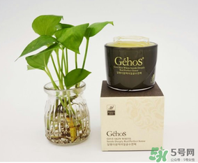 姬存希是哪個(gè)國(guó)家的？姬存希是哪里產(chǎn)的？