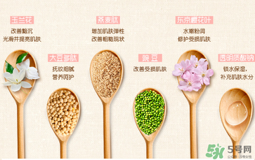 一葉子套裝怎么用？一葉子套裝使用說明