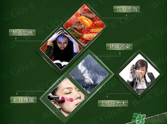 姬存希黃瓜膠多少錢？姬存希黃瓜膠價(jià)格