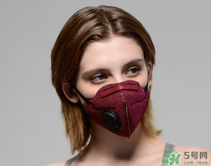 pm2.5口罩多少錢？pm2.5口罩價格