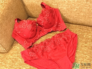 黛安芬內(nèi)衣怎么樣？黛安芬內(nèi)衣價格圖片