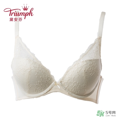 黛安芬內(nèi)衣怎么樣？黛安芬內(nèi)衣價格圖片