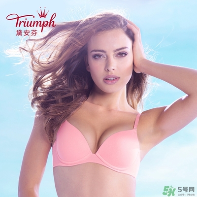 黛安芬內(nèi)衣怎么樣？黛安芬內(nèi)衣價格圖片