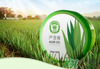 雅麗潔蘆薈膠多少錢？雅麗潔蘆薈膠好不好？