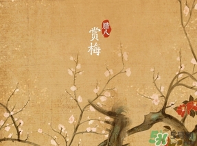 臘八節(jié)出生的女寶寶怎么取名？臘八節(jié)出生的男寶寶怎么取名？
