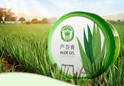 雅麗潔蘆薈膠多少錢？雅麗潔蘆薈膠好不好？
